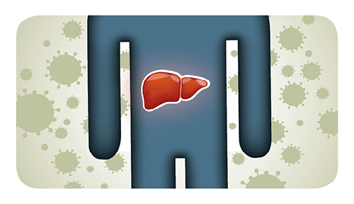 hec-01-inflamed-liver-500px